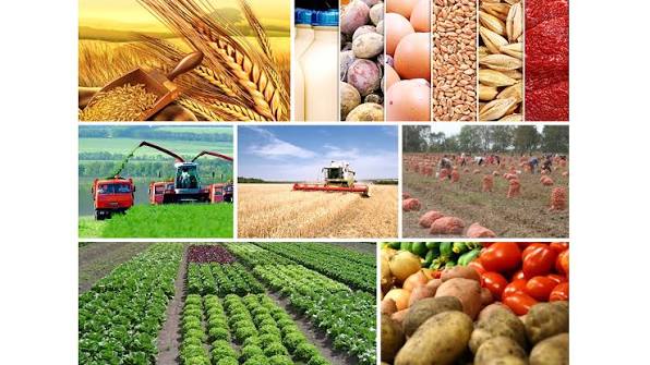 Kənd təsərrüfatında qiymət dəyişiklikləri: 