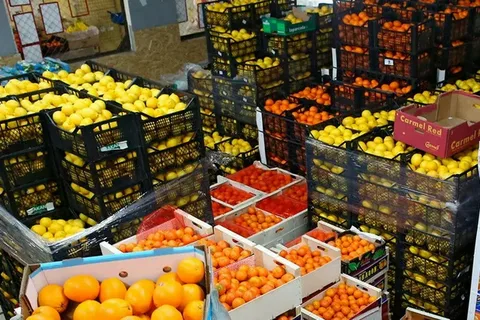 Azərbaycandan meyvə ixracının 5 ildə artımı 