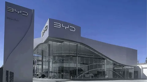 «BYD» şirkətinin 3-cü rübdə xalis mənfəəti 