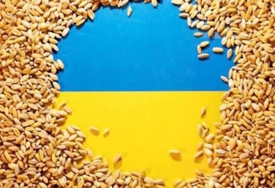 Moldova Ukrayna taxılının idxalına məhdudiyyətləri